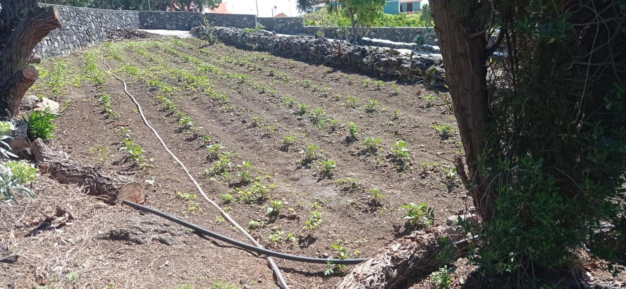 El Sueno Del Angel Villa Santa Cruz de la Palma  Bagian luar foto